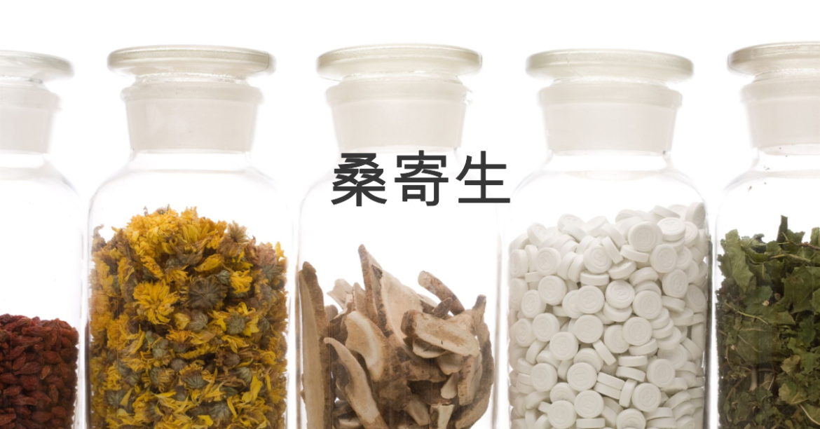 桑寄生