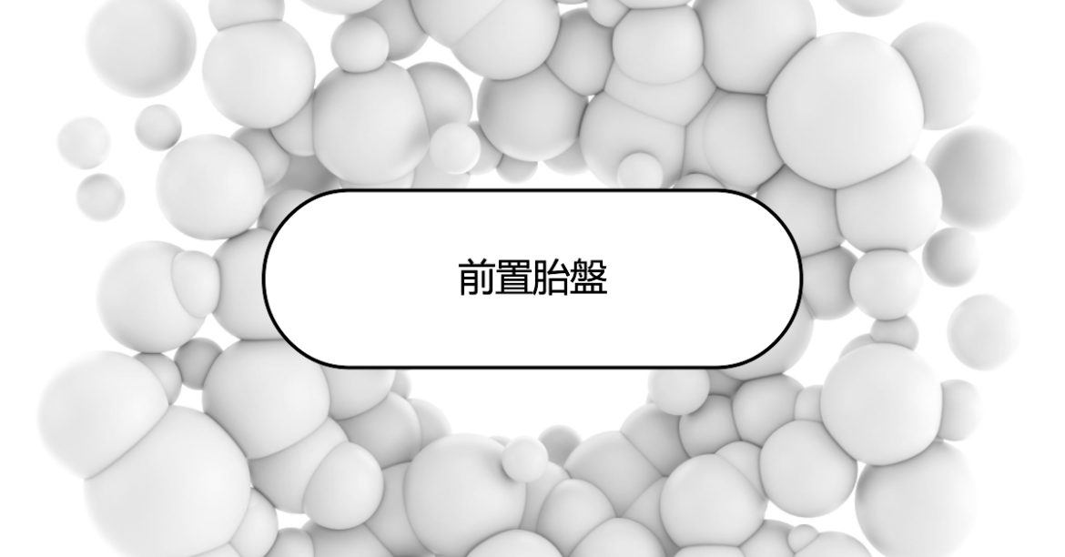 前置胎盤